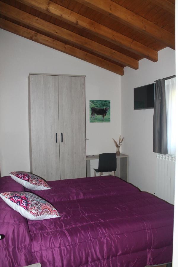 Hotel Rural Rio Molinar Ranera 外观 照片