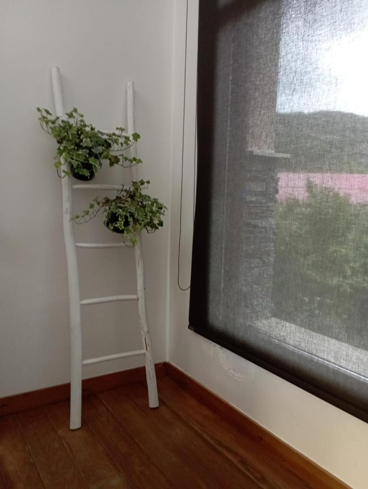 Hotel Rural Rio Molinar Ranera 外观 照片